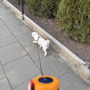 img 1707