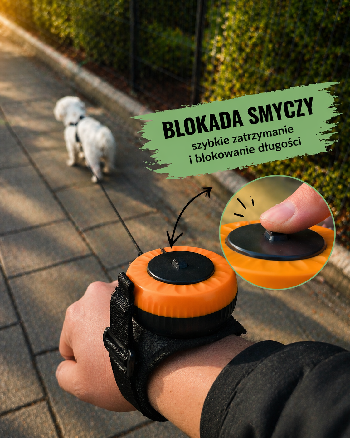 dd16cf7b aada 4527 9718 1a71cf5ba926